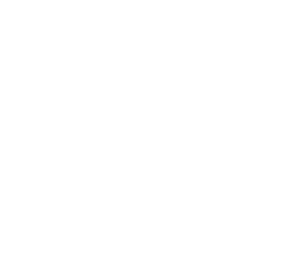 株式会社装武